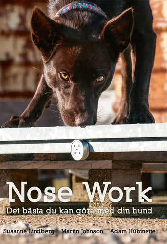 Nose Work